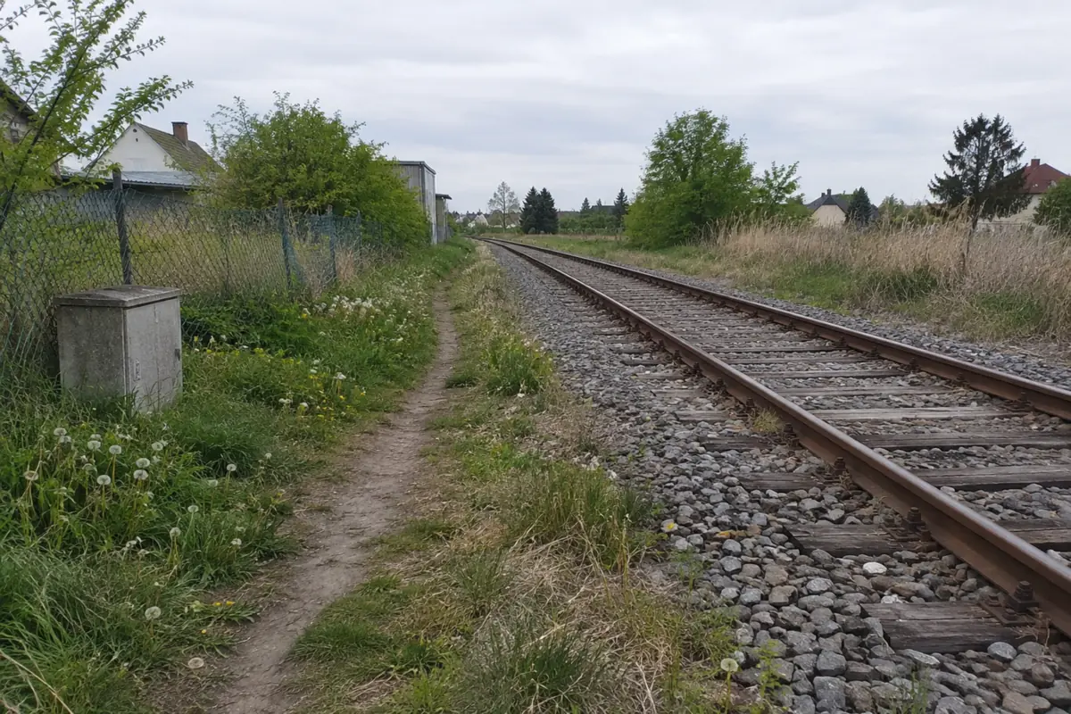 A narrow worn dirt footpath running alongside a single-track freight railway line at the edge of a small town, photographed in flat overcast daylight: grey gravel ballast and weathered wooden sleepers to the right, tall dry grass and dandelions crowding the path, a bent chain-link fence and a plain concrete utility box to the left, and low houses and trees in the distance. No people are in the frame.